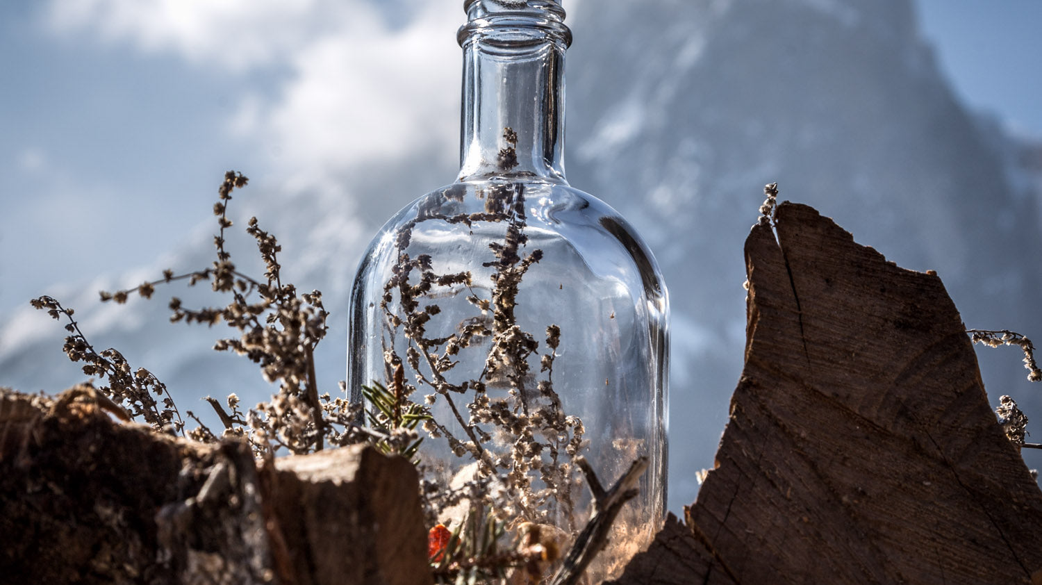 Gin: Tradizione, qualità e maestria in ogni goccia