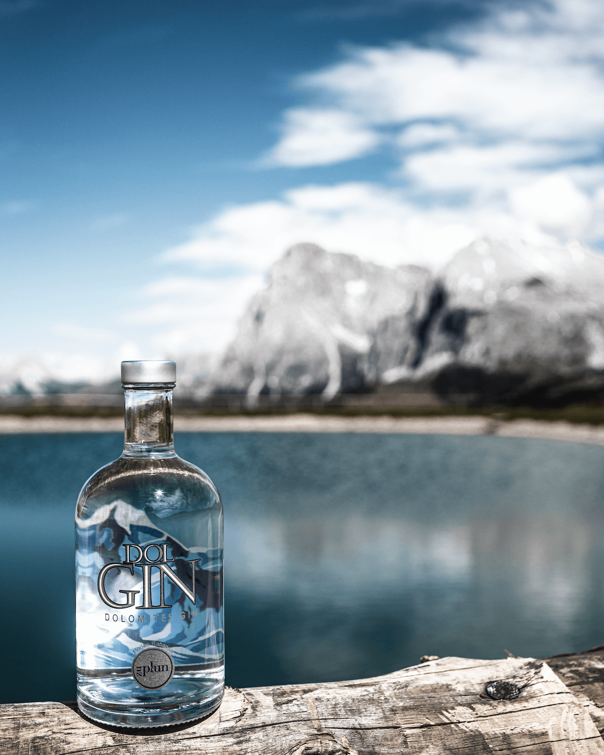 Dol Gin – gin artigianale premium delle Dolomiti con botaniche alpine, acquistabile online su Cavour Drinks
