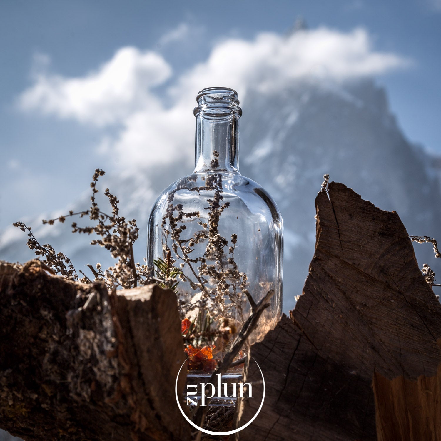 Gin: Tradizione, qualità e maestria in ogni goccia